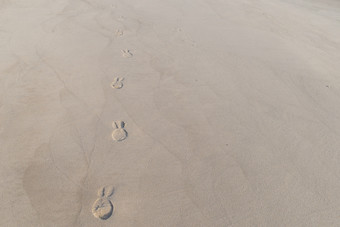 脚步沙子脚步沙子使从人与鞋子