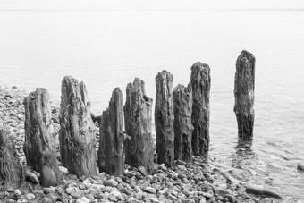 饱经风霜的木腹股沟海滩饱经风霜的木腹股沟海滩与许多卵石石头黑色的而且白色