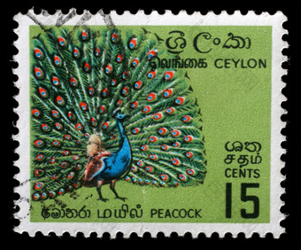 锡兰约邮票印刷锡兰现在斯里兰卡斯里兰卡显示图像peackok系列约