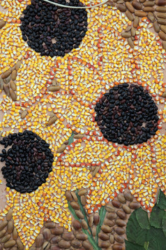 色彩斑斓的手工制作的花使玉米