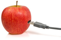科学而且自然共生概念苹果而且USB插头