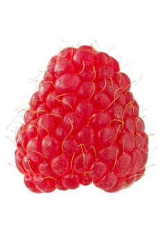 成熟的红色的树莓孤立的白色背景