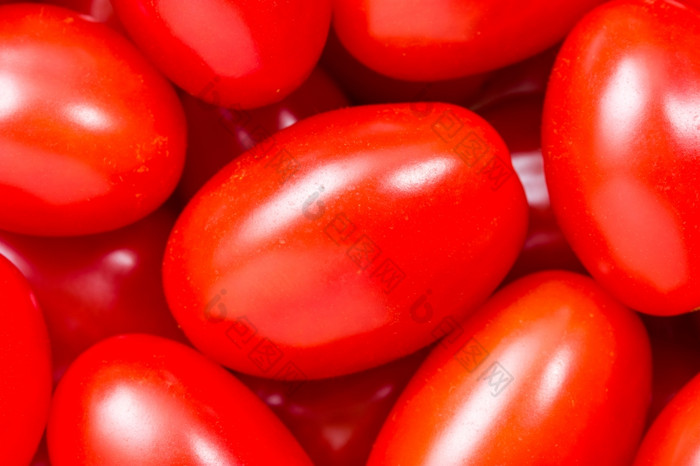 许多成熟的小西红柿关闭拍摄