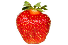 红色的浆果草莓孤立的白色背景
