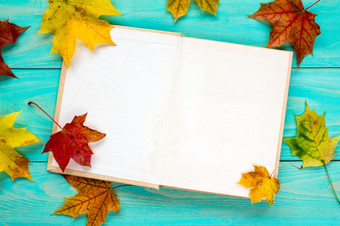 秋天叶子而且老书的蓝色的表格