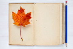 老开放书秋天叶而且铅笔木背景