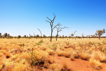 内地<strong>场景</strong>uluru-kataTjuta国家公园北部领土澳<strong>大</strong>利亚