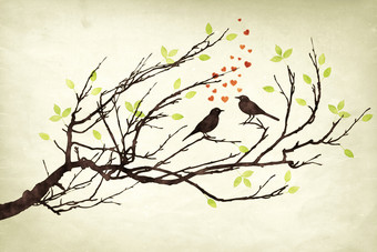 两个鸟爱分支与心水彩画图像