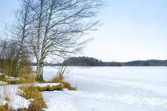 图像冬天风景的osterseen巴伐利亚德国