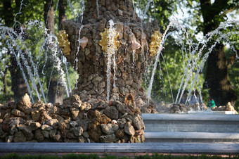 片段的喷泉的夏天花园彼得堡片段的喷泉