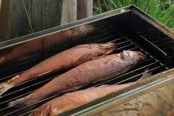熏制<strong>房</strong>与烟熏鱼开放传统的烹饪鱼