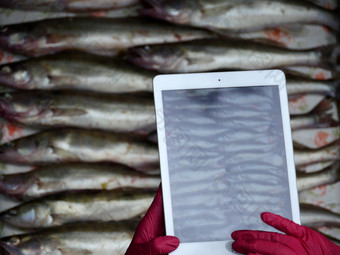人需要图片平板电脑iPad抓抓住了鱼