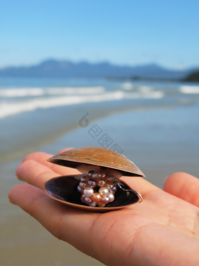 海贝与珍珠手图片