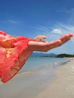 女人持有海贝对桑迪海滩朗考岛马来西亚