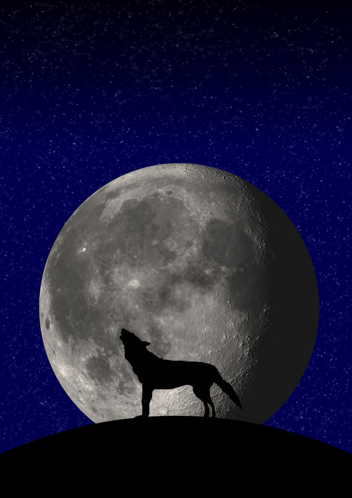 狼月亮图片