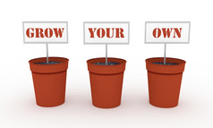 插图三个植物锅每一个与标志那在一起说成长你的自己的