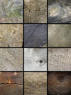 拼贴画木减少树干纹理准备好了为你的设计