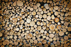 变形桩山毛榉柴火准备好了为你的设计自然燃料减少小树干和分支机构