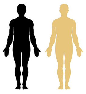 轮廓人类男性男性人类解剖学