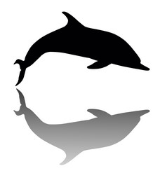 海豚轮廓向量海豚