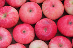 图像背景红色的成熟的开胃的苹果