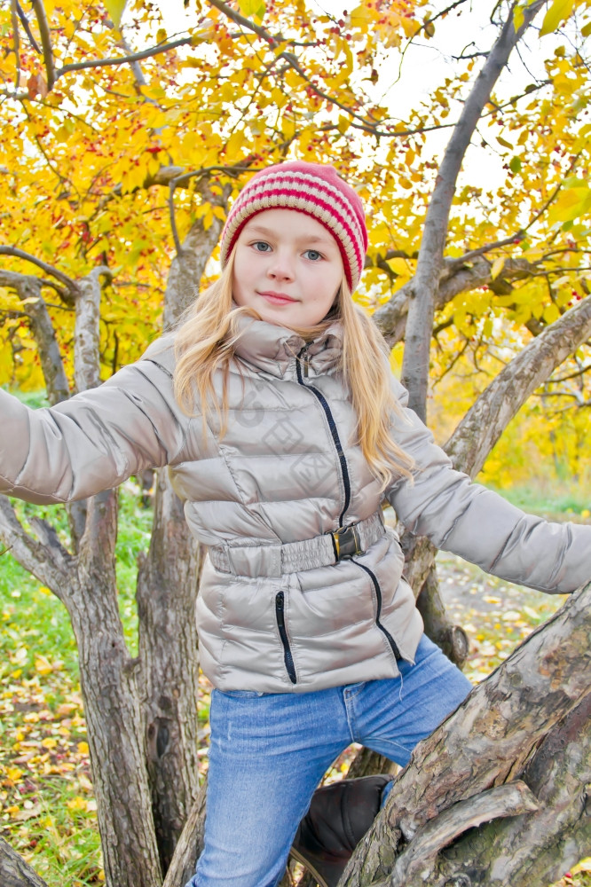 照片的女孩秋天坐树图片
