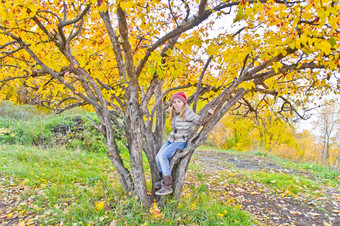 照片可爱的女孩秋天坐树