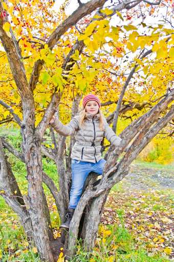 照片可爱的女孩秋天坐树