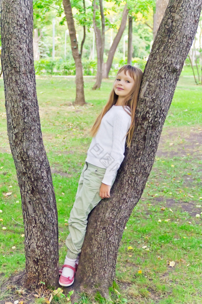 照片的女孩夏天坐树图片