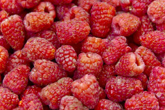 照片的背景新鲜的红色的树莓