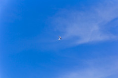 照片飞行军事飞机蓝色的天空
