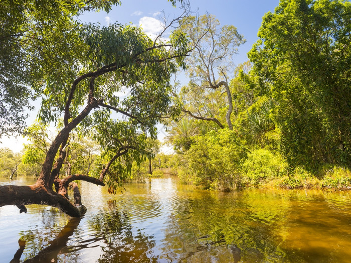 米奥拉弹簧重要的土著居民的网站独特的湿地史翠伯克岛昆士兰澳大利亚