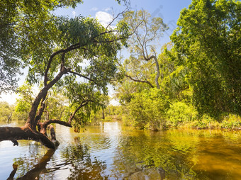 米奥拉弹簧重要的土著居民的网站<strong>独特</strong>的湿地史翠伯克岛昆士兰澳大利亚