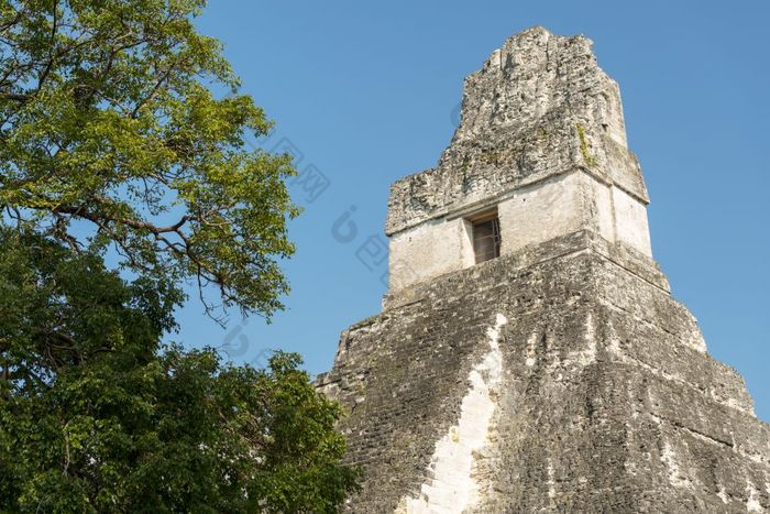 寺庙也已知的的捷豹寺庙卡尔国家公园危地马拉中央美国