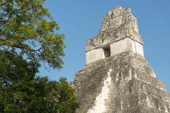 寺庙也已知的的<strong>捷豹</strong>寺庙卡尔国家公园危地马拉中央美国
