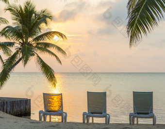 日出梦想海滩假期日出在的海洋梦想海滩假期与棕榈树和躺椅