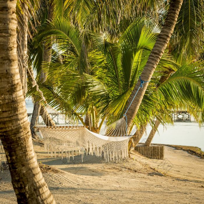 热带海滩吊床白色吊床挂棕榈树热带海滩