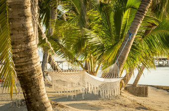 热带海滩吊床白色吊床挂棕榈树热带海滩