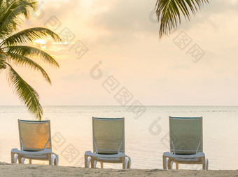 热带海滩度假胜地金阳光在棕榈树热带海滩度假胜地与复制空间