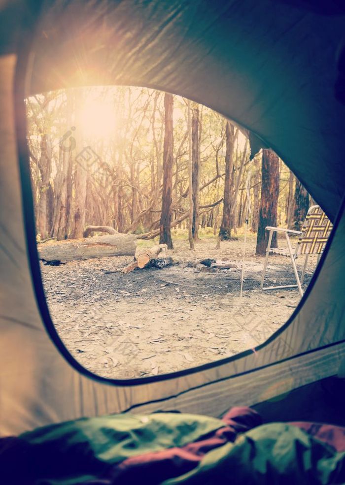 日出通过的森林出野营查看从内部帐篷与复古的新浪微博风格过滤器效果