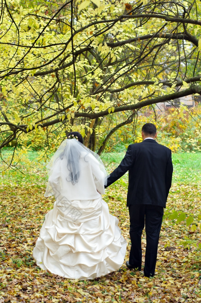 年轻的只是结婚了夫妇有有趣的的公园只是结婚了夫妇