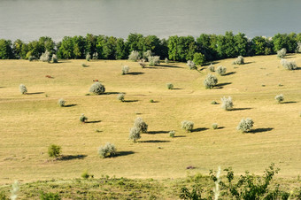 典型的Lanscape视图德涅斯特河区域的北摩尔多瓦典型的景观摩尔多瓦