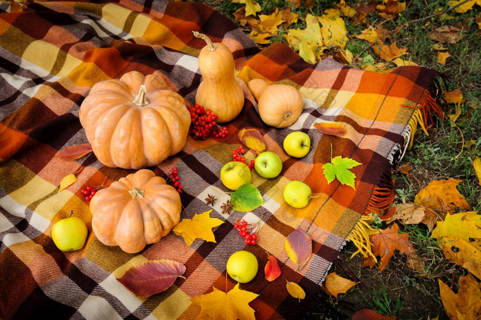 典型的秋天感恩节仍然生活与毯子南瓜苹果浆果和咖啡杯秋天感恩节仍然生活
