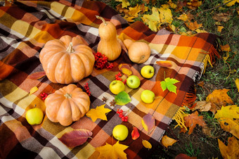 典型的秋天感恩节仍然生活与毯子南瓜苹果浆果和<strong>咖啡杯</strong>秋天感恩节仍然生活
