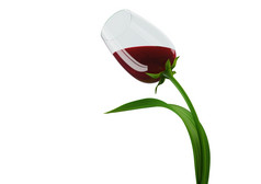 令人陶醉的tulip-style酒玻璃概念孤立的白色背景对象系列