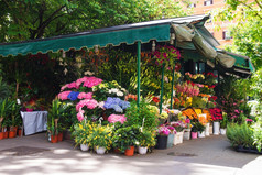 商店出售花的意大利城市
