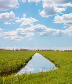 绿色梅多斯而且的运河附近农场荷兰