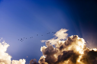 鸟飙升的<strong>天空</strong>高鸟飞行和飙升的高的<strong>天空</strong>太阳射线皮尔斯<strong>大气</strong>云与梁明亮的光