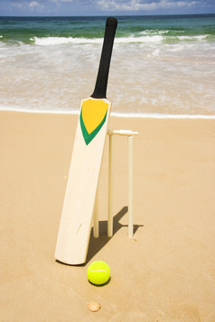 蝙蝠球Amp树桩设置为游戏海滩板球