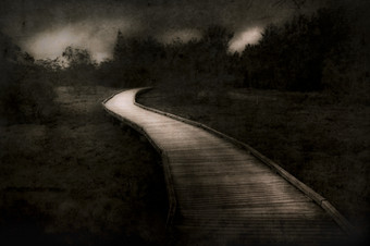 路径的未知的饱经风霜的景观照片男爵旅程成黑暗林地后未知的木路径